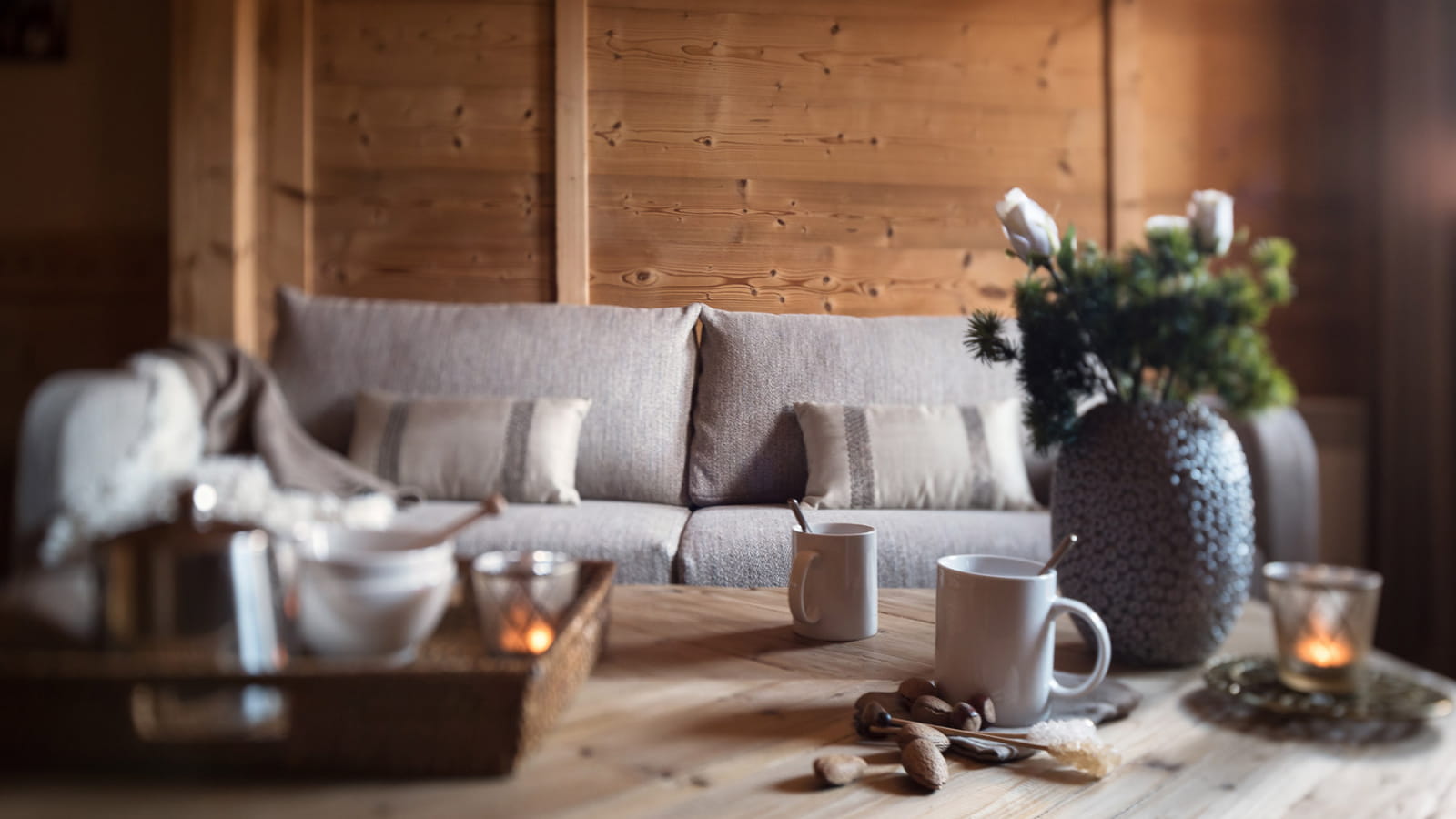 Résidences à l'ambiance Chalet